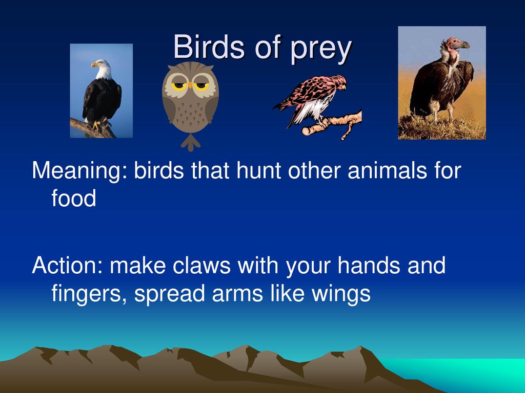 Meaning prey Translation of