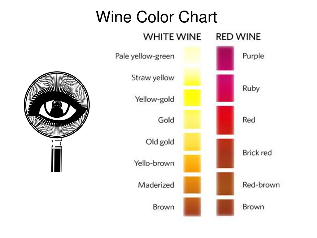 Red Wine Color Chart