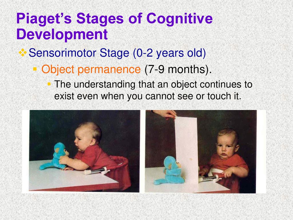 Development during infancy and childhood ppt download