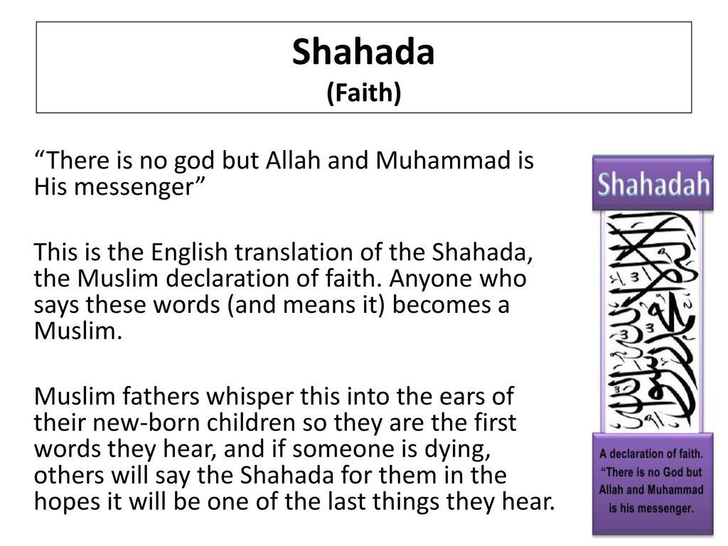 Practices That Shape And Express Religious Identity Ppt Download Practices That Shape And Express Religious Identity Ppt Download