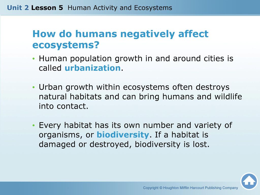 how human activities affect the natural ecosystem