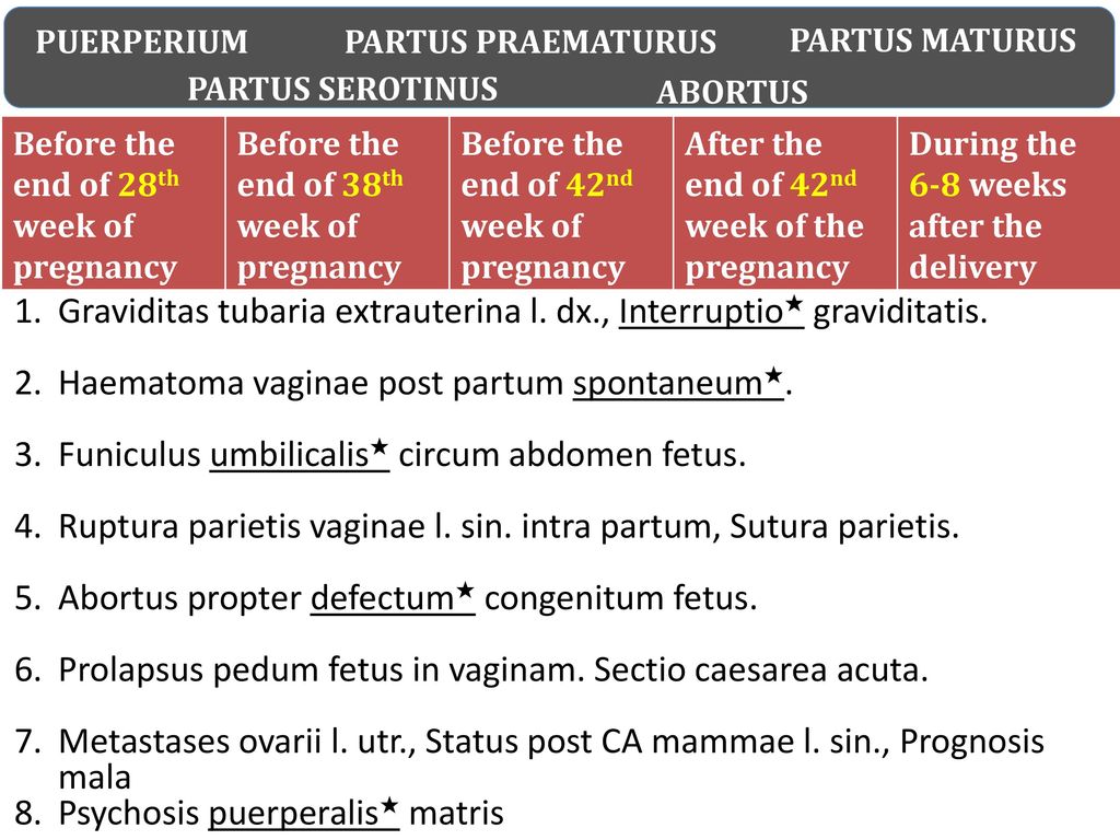 BASIC MEDICAL TERMINOLOGY - ppt download