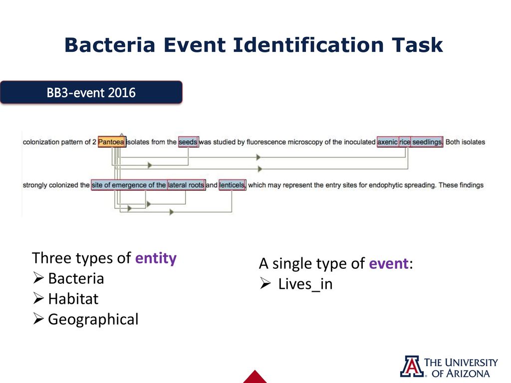 Bacteria Event Identification Task