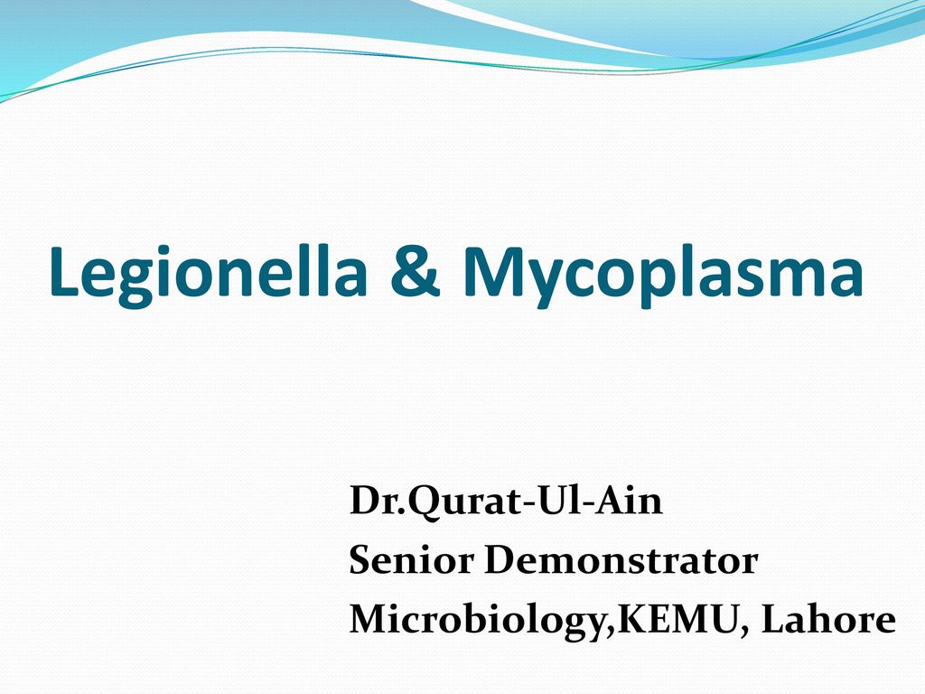 Legionella & Mycoplasma