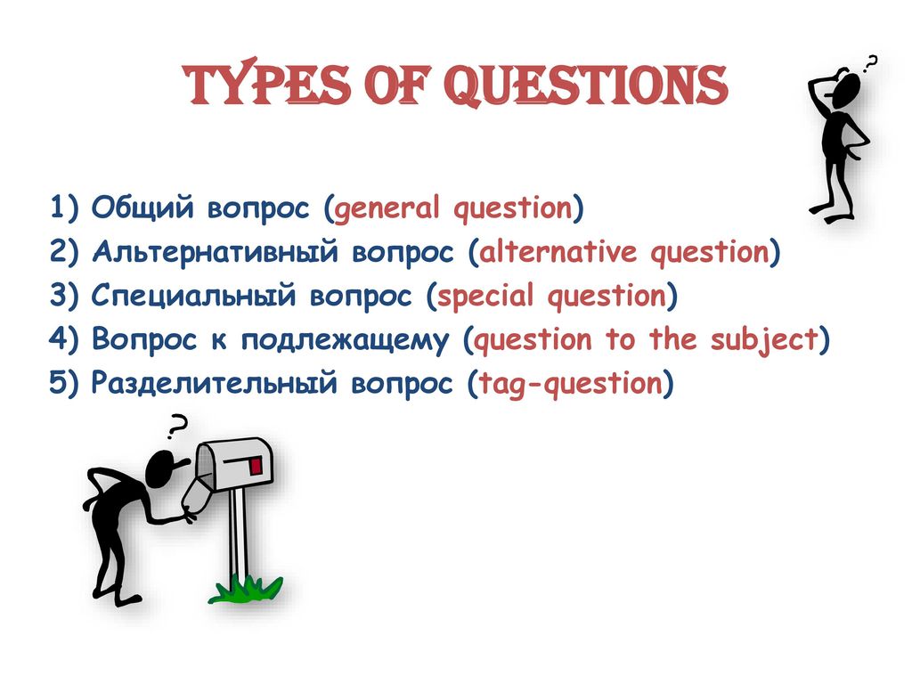 Общий вопрос. General questions примеры. Специальные вопросы. Types of questions вопросы.