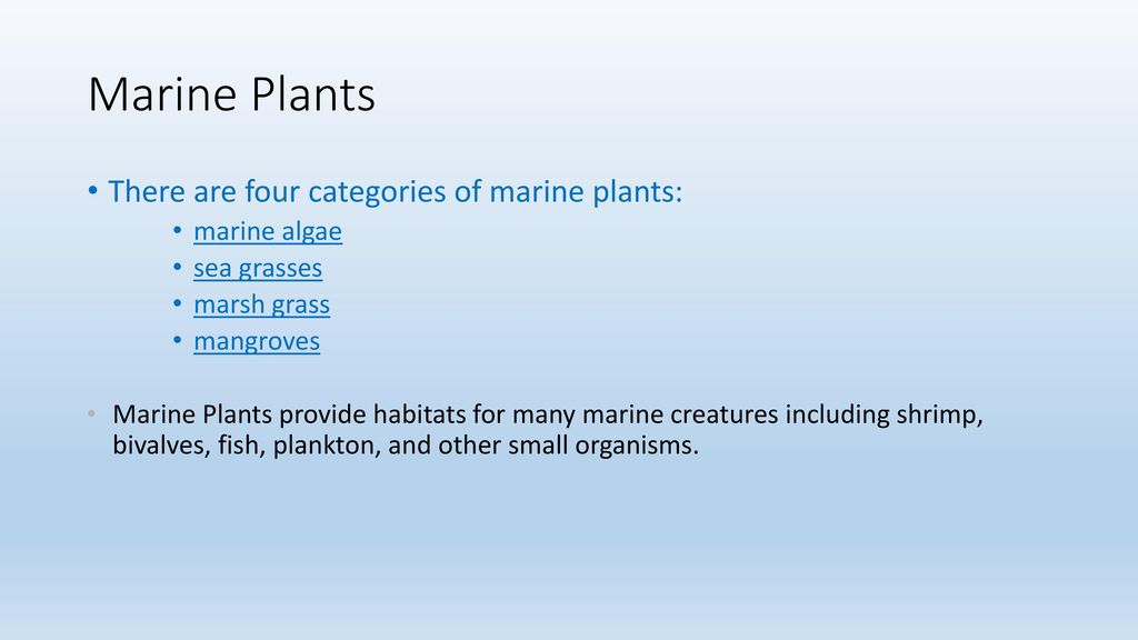 Marine Plants There are four categories of marine plants: marine algae