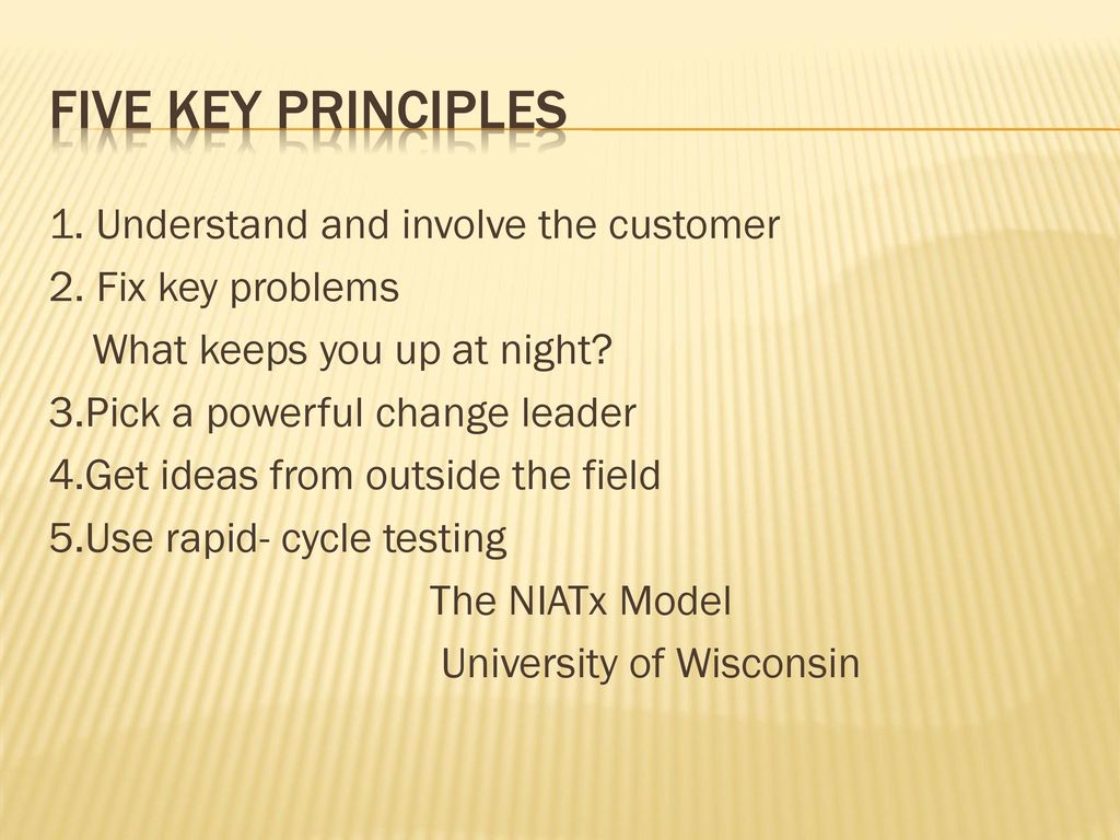 Five Key Principles 1. Understand and involve the customer