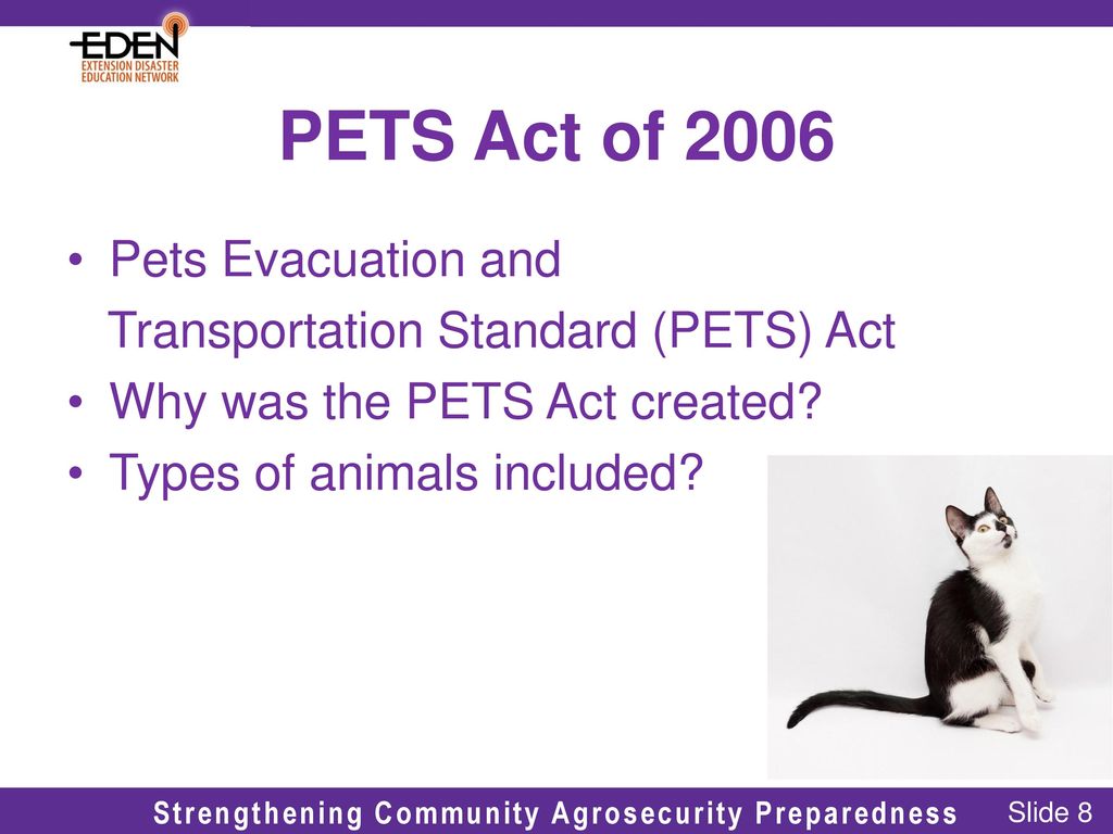 Emergency Pet Sheltering During a Disaster - ppt download