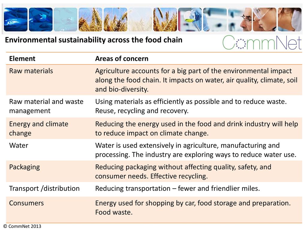 Environmental sustainability across the food chain