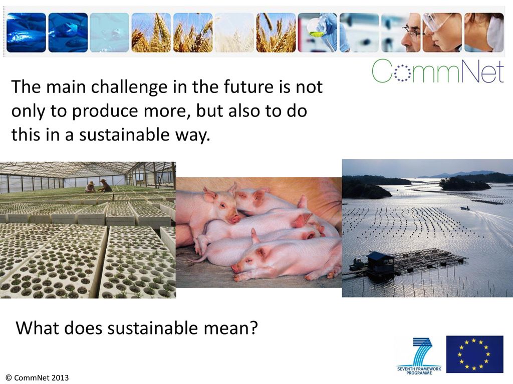 The main challenge in the future is not only to produce more, but also to do this in a sustainable way.