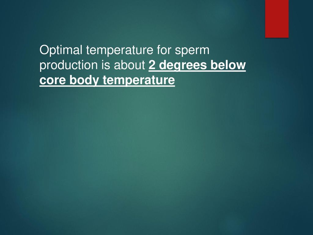 Treasa recommends best of Sperm production temperature temperature Sperm production