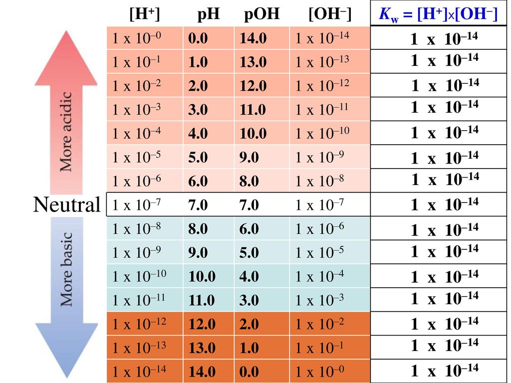The Ph Scale Hydronium Hydroxide Ions H3o Oh Ph Scale Ppt Download