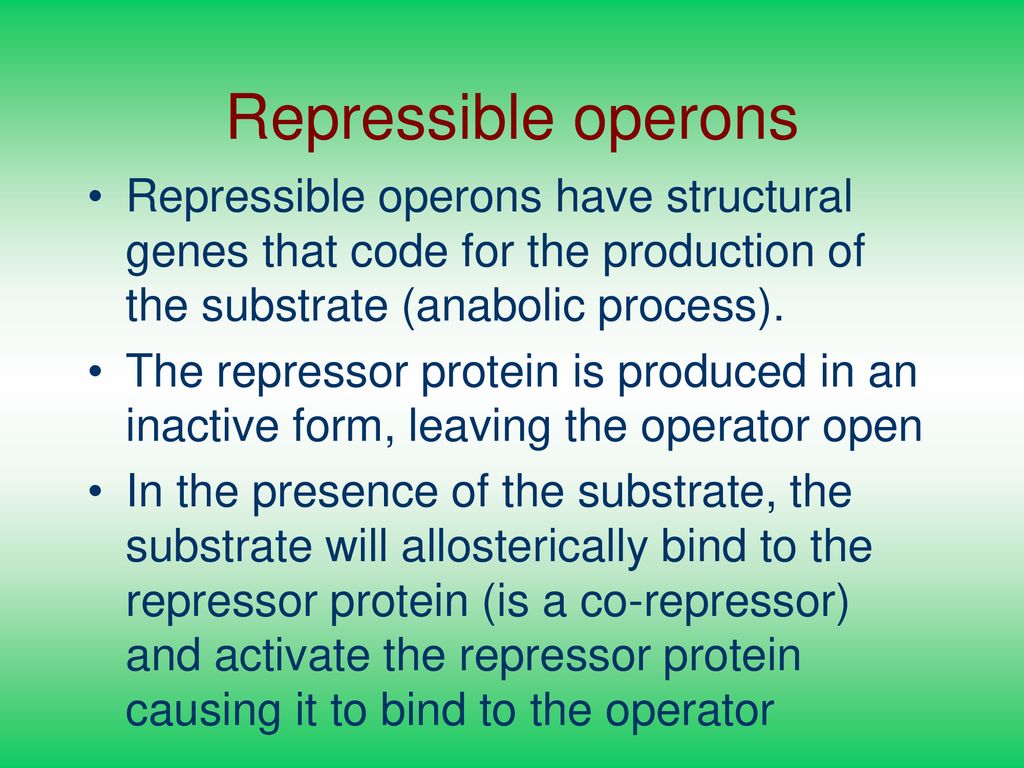 of Bacteria Bacterial genome =. ppt download