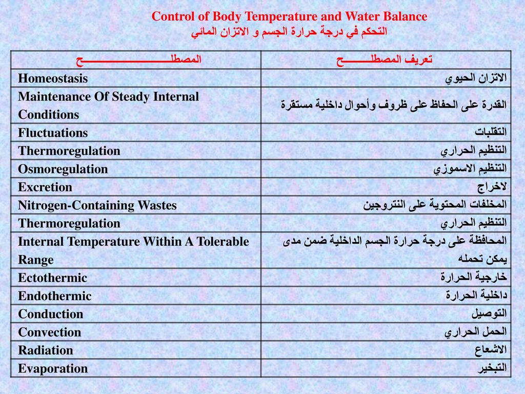 Control Of Body Temperature And Water Balance Ppt Download