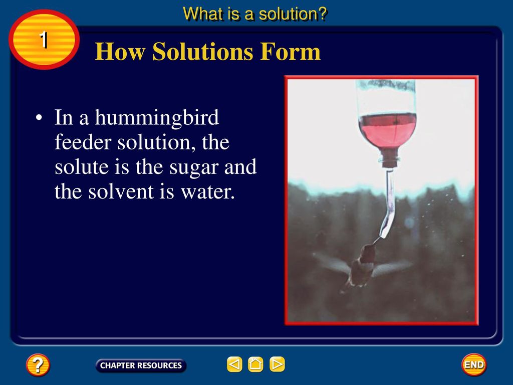 What is a solution. 1. How Solutions Form.