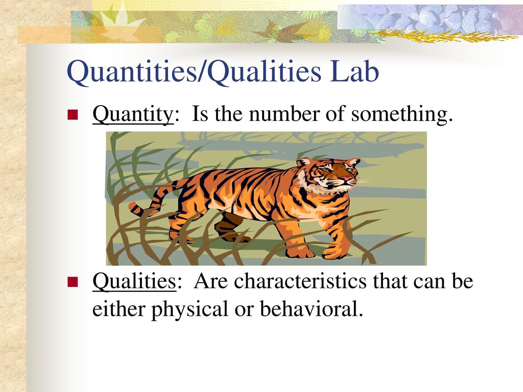 Quantities/Qualities Lab