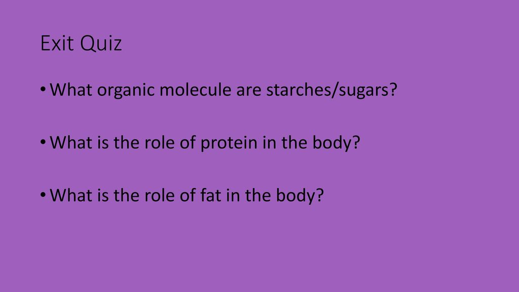 Exit Quiz What organic molecule are starches/sugars