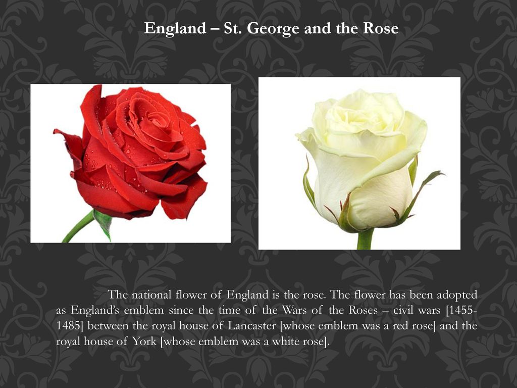 The symbols of the UK. - ppt download