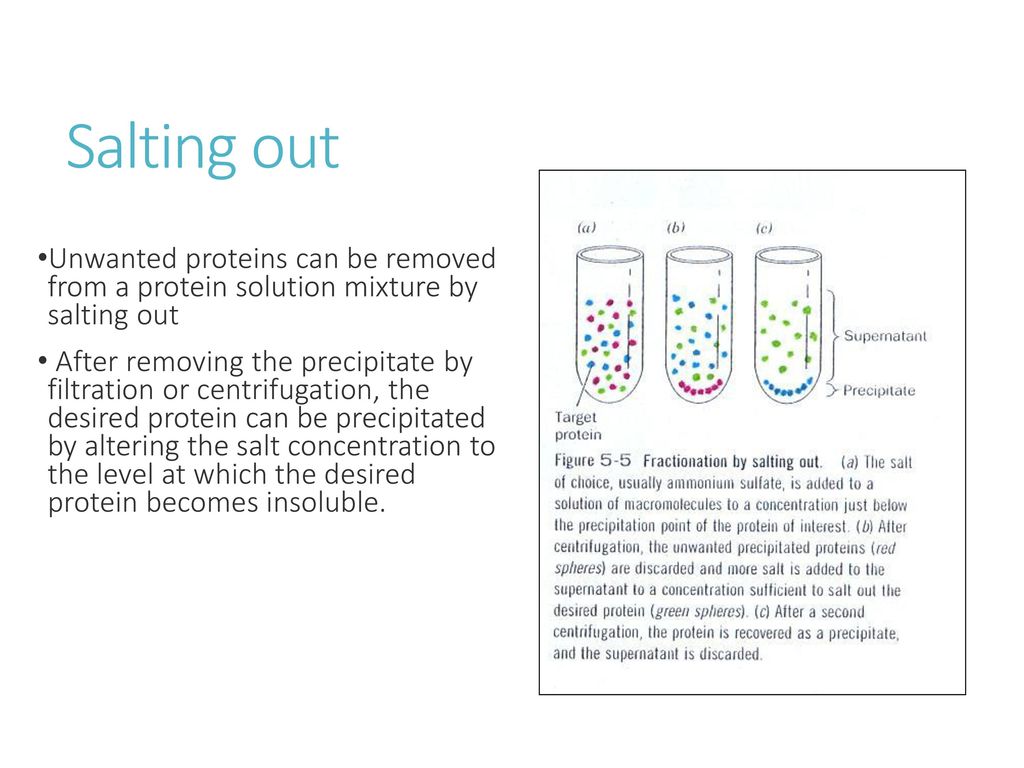 Salting in and salting out of proteins and dialysis - ppt download