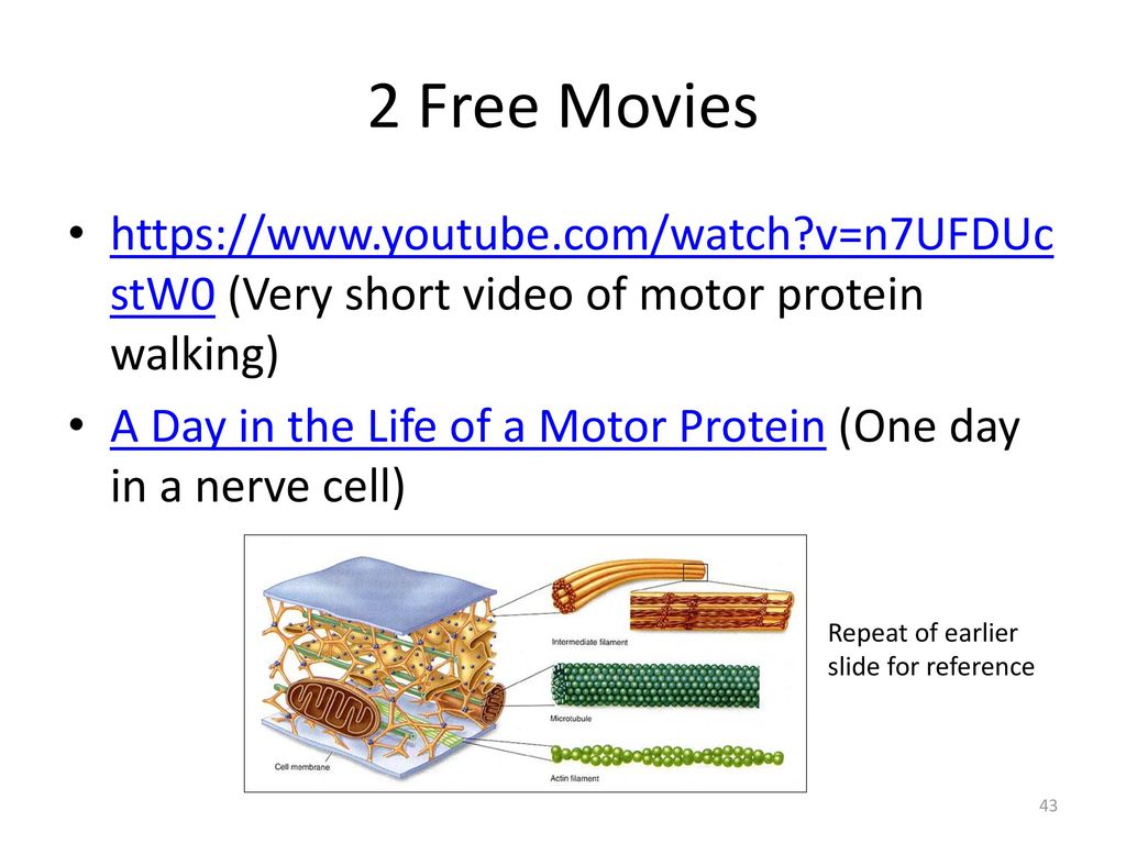 slideplayer