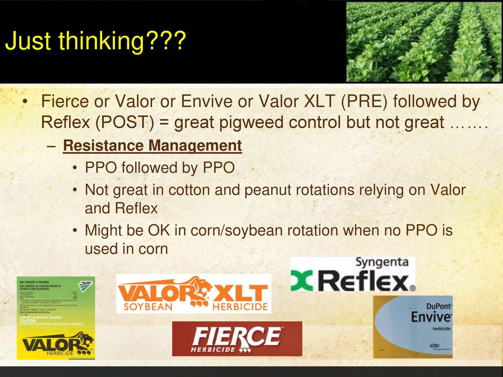 2015 Soybean Weed Control Update - ppt download