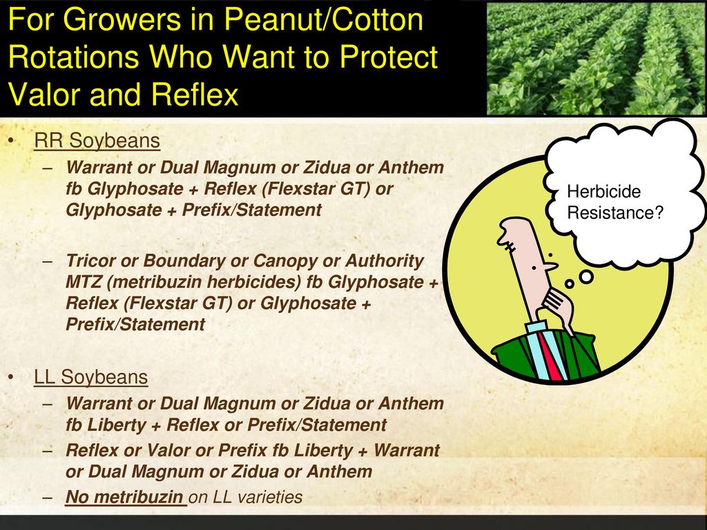 2015 Soybean Weed Control Update - ppt download