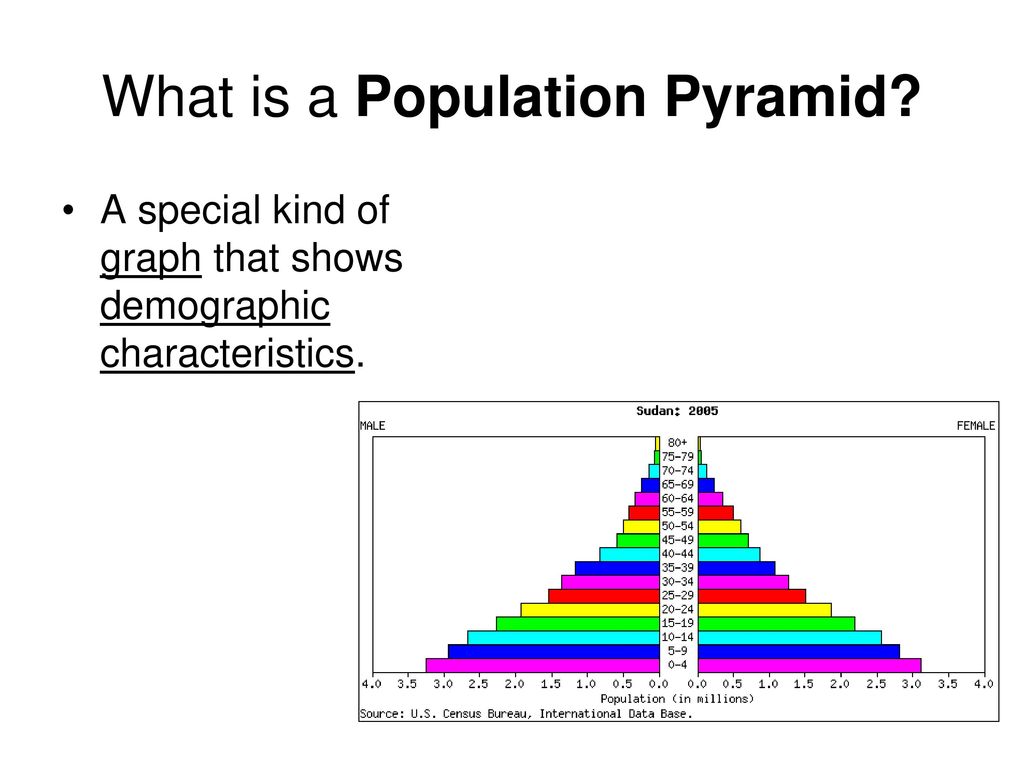Population Pyramids. - ppt download