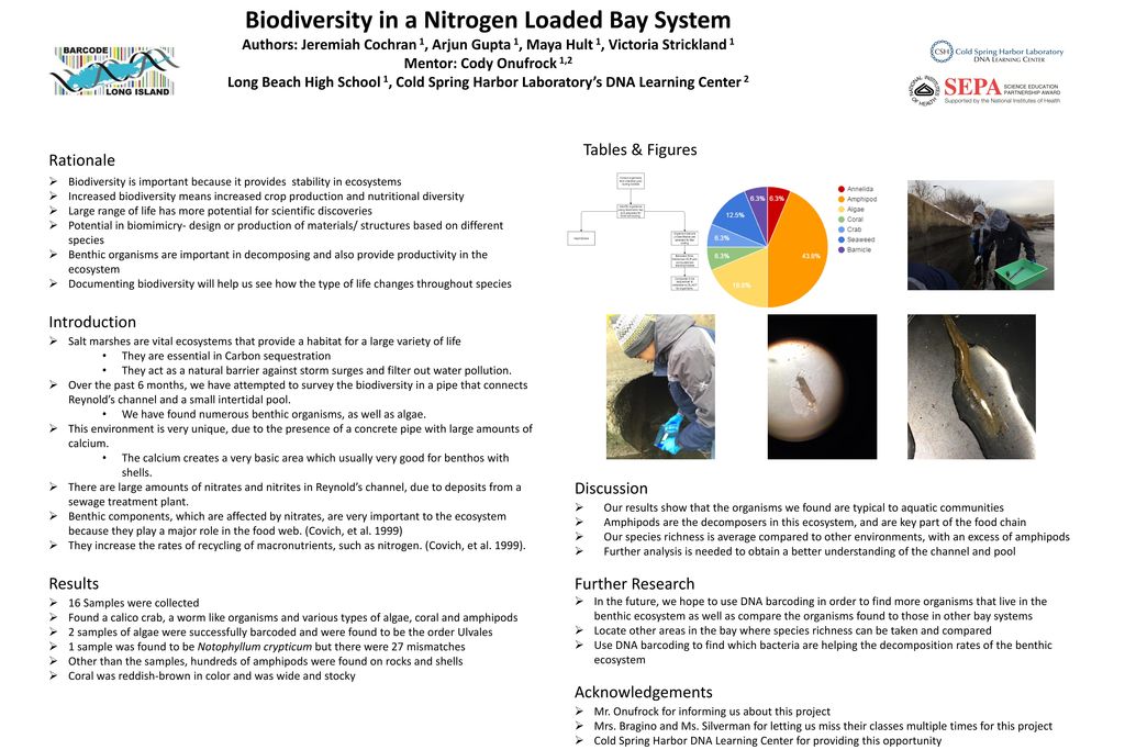 Biodiversity in a Nitrogen Loaded Bay System - ppt download