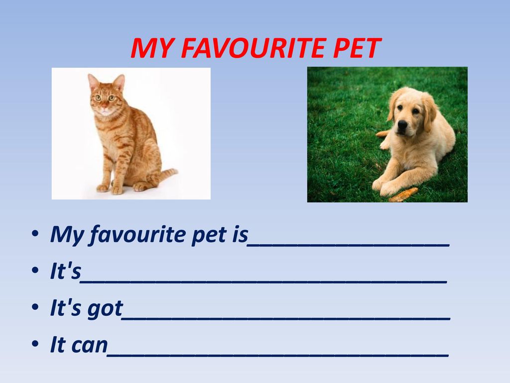 My pet английский 5 класс. Тема my Pet. My Pet презентация. Проекты на тему my Pet. Работа по английскому языку my Pet.