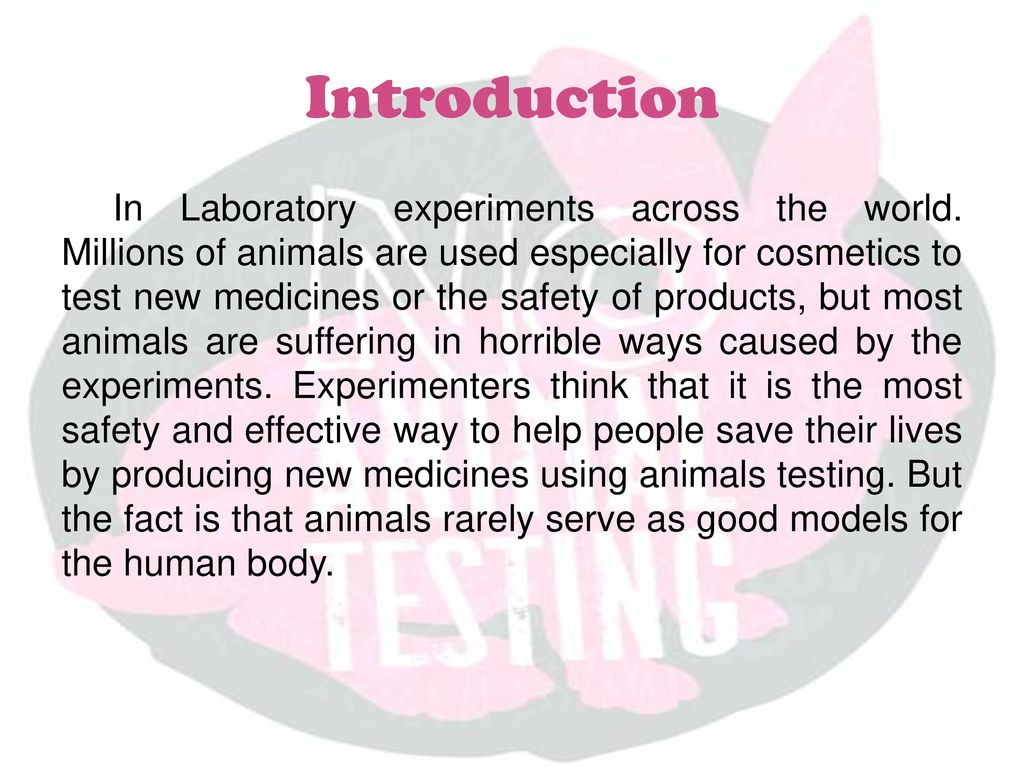Cruelty Free International Against Animal Testing - ppt download