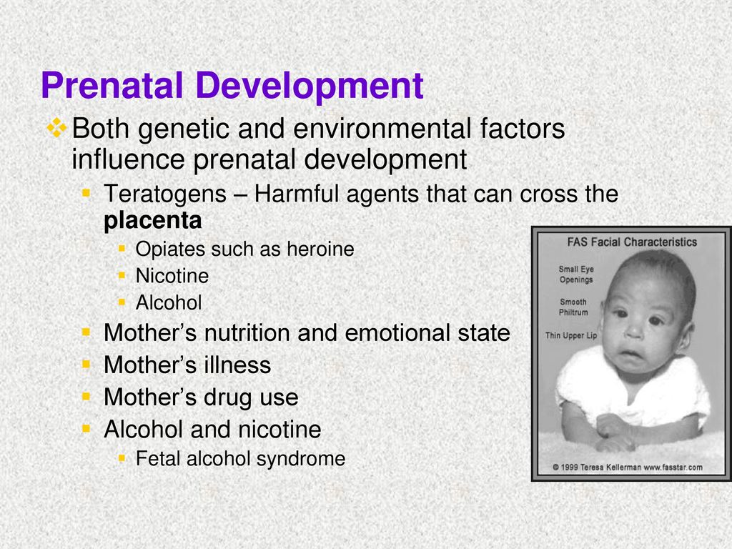 factors that can affect prenatal development