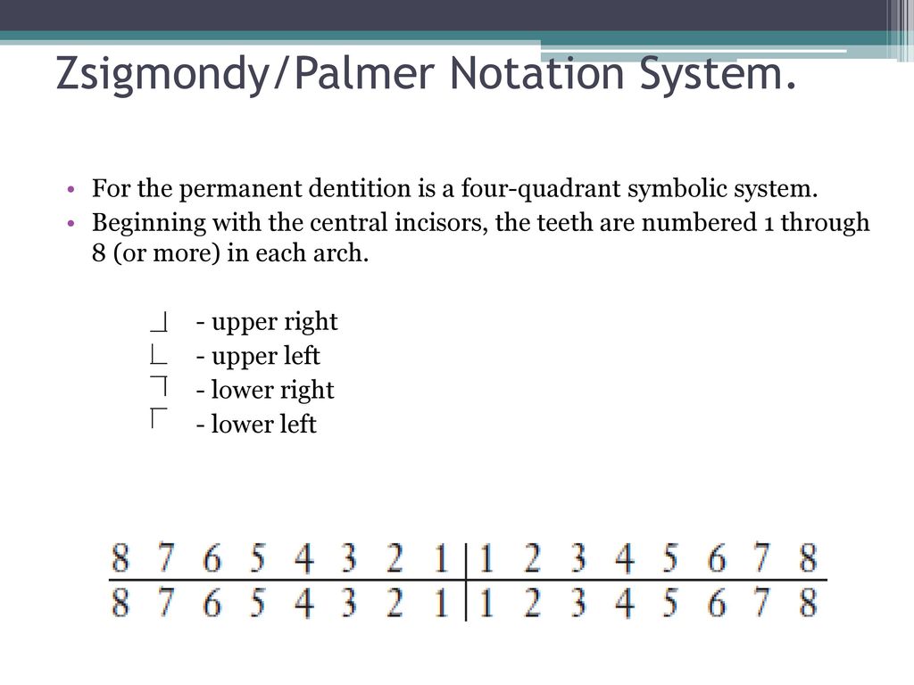 TOOTH NUMBERING SYSTEM - ppt download