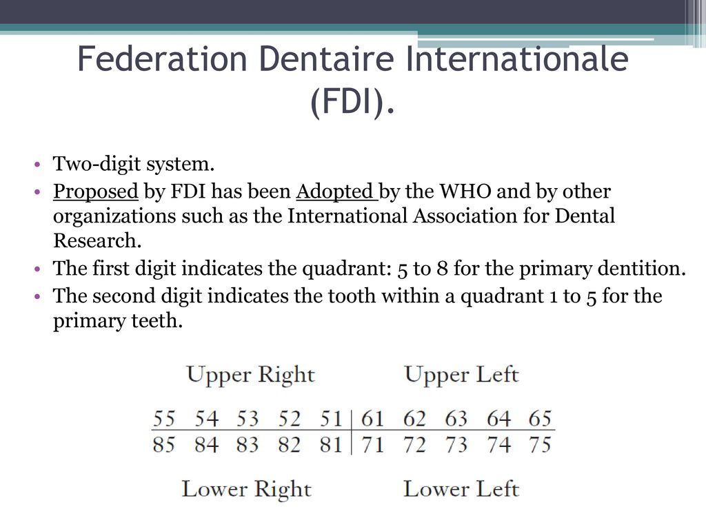 Fdi Tooth Numbering System For Permanent Teeth