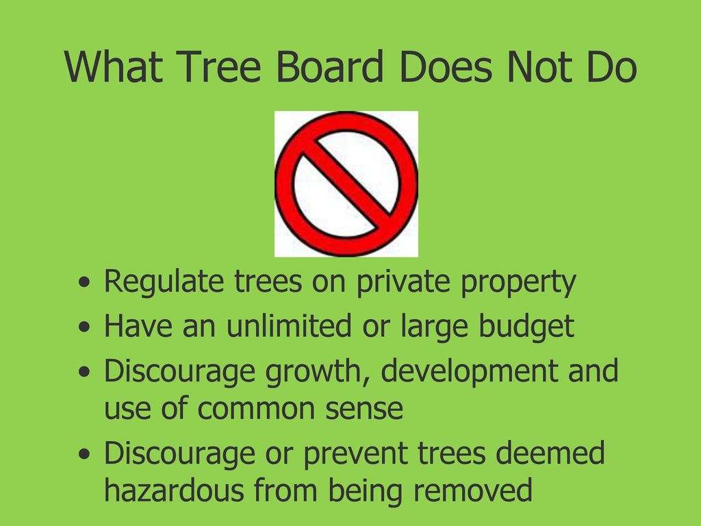 City of Marion Tree Board Educational Series - ppt download