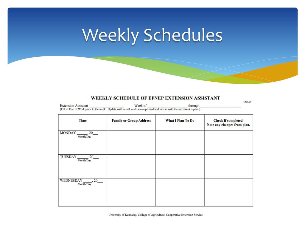 Strategies for Success in Nutrition Education Debra B ppt download
