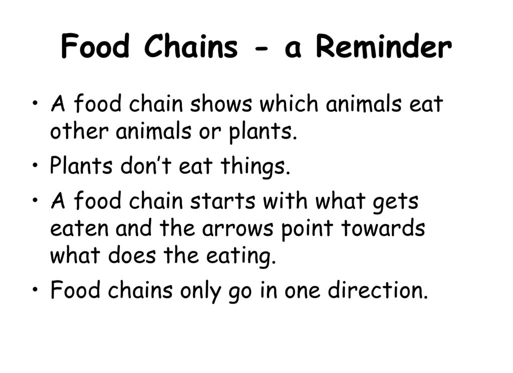 Whats for dinner Exploring a Food Web Biology Diagrams