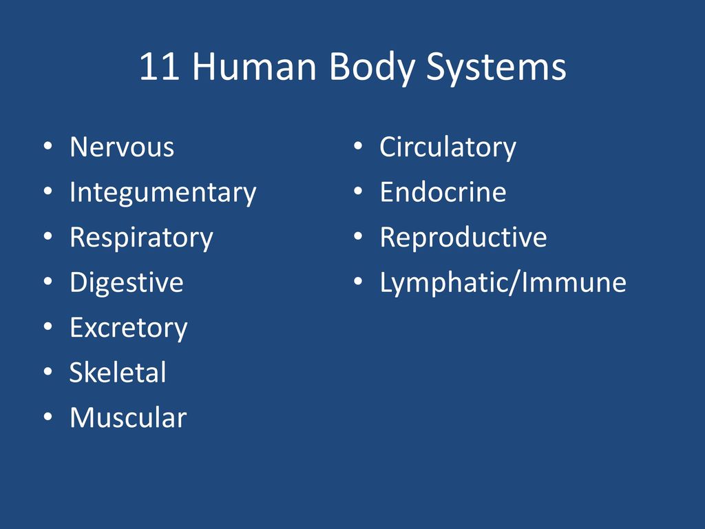 Human Body Systems. - ppt download