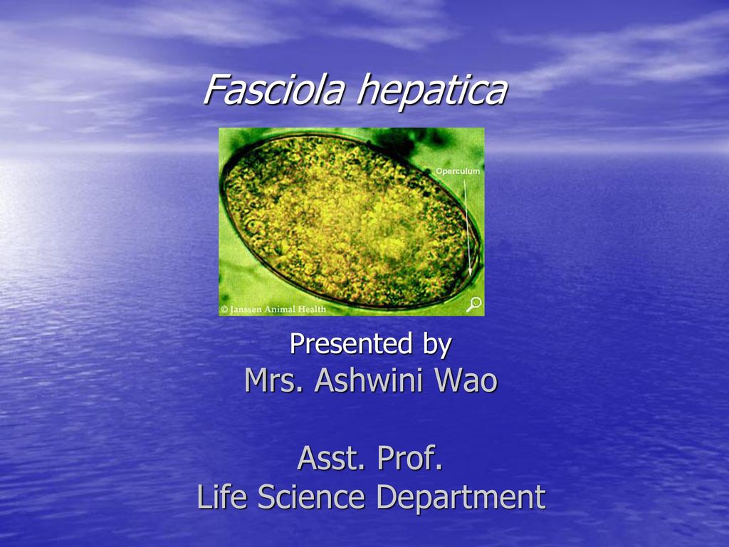 Medicament fascioliasis Epidemiologie