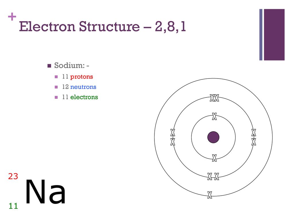 Na Electron Structure - 2,8,1 Sodium: - 23 11 11 protons 12 neutrons. x. 