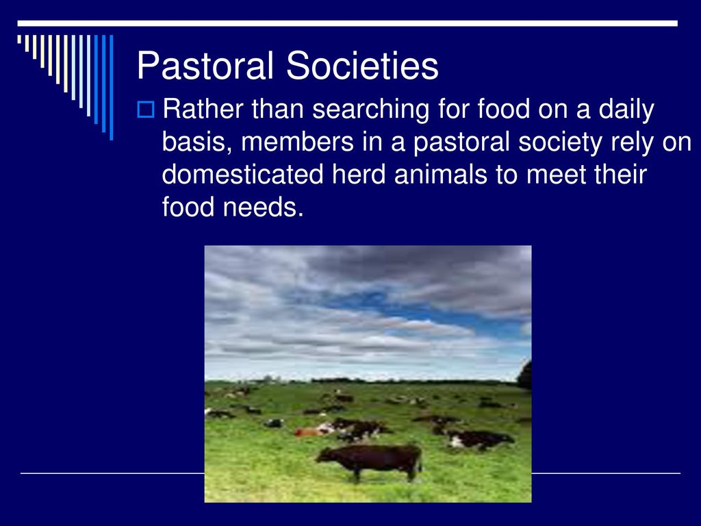 Pastoral Societies