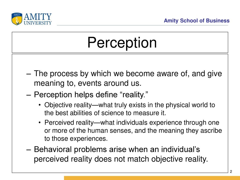 meaning of perception in organisational behaviour