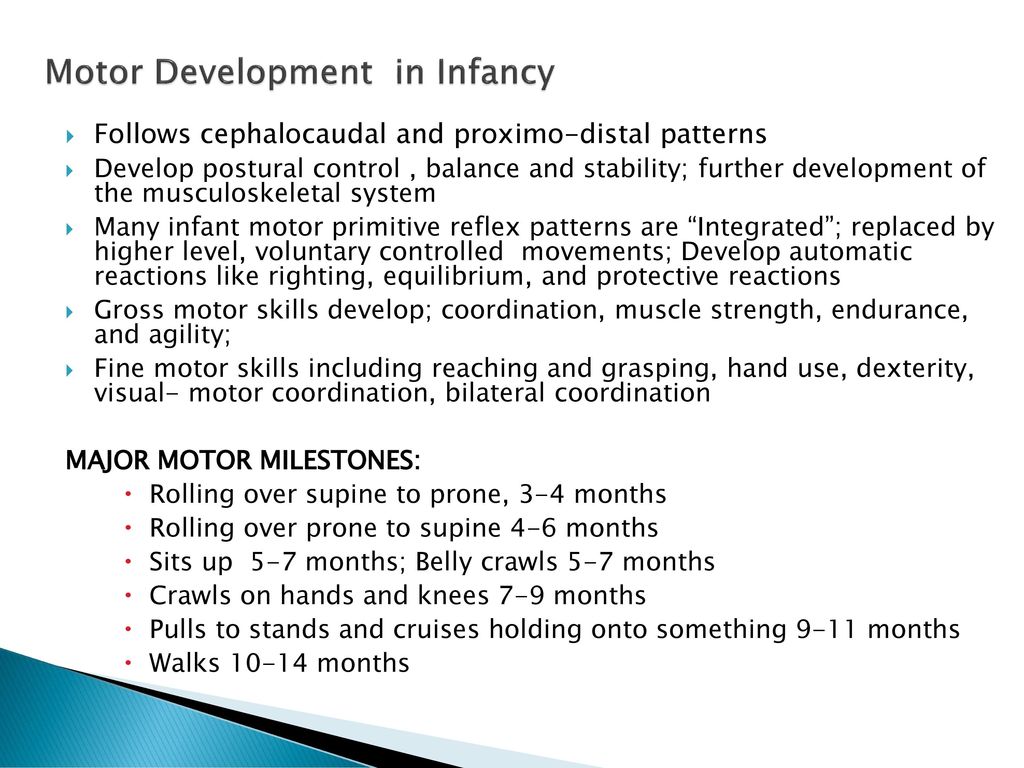 Infancy: Physical Development - ppt download