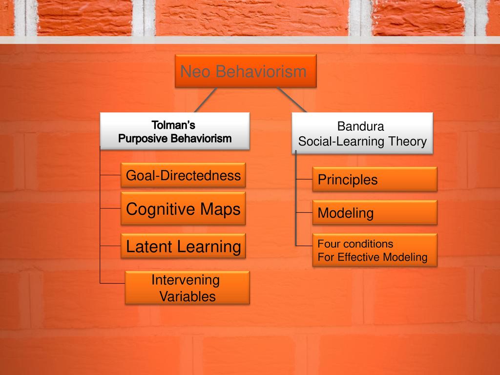 Neo Behaviorism Cognitive Maps Latent Learning Goal-Directedness