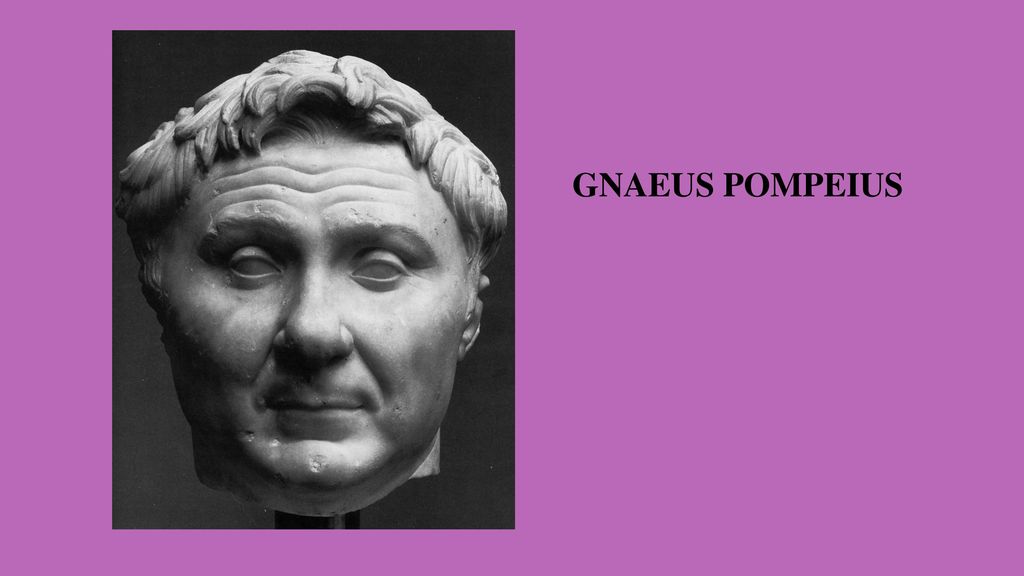 Помпей царь. Помпей полководец. Гней Помпей Великий. Гней Помпей Великий реконструкция внешности.
