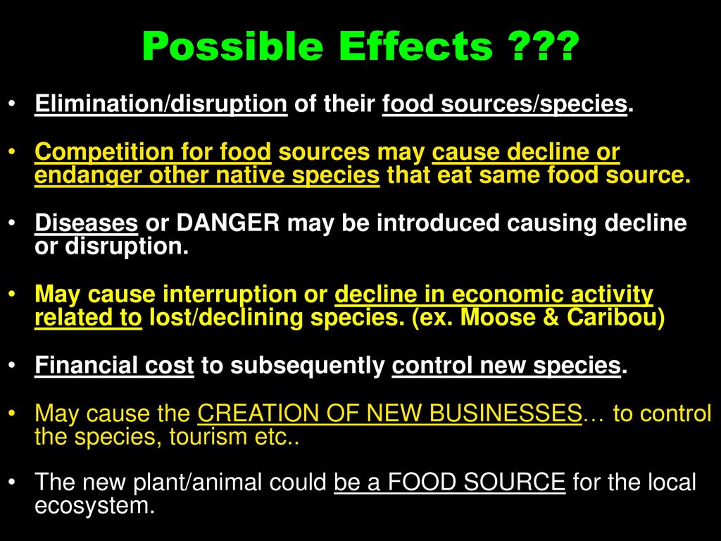 Unit 3 Part 2 Food Pyramids p ppt download Biology Diagrams