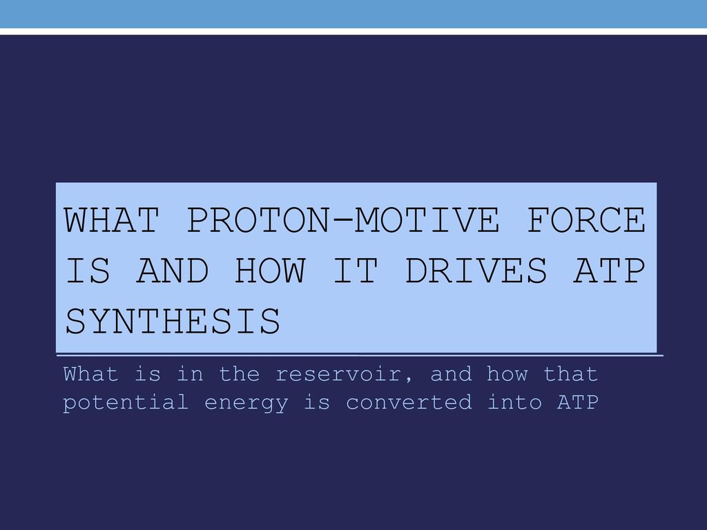 What proton-motive force is and how it drives ATP synthesis