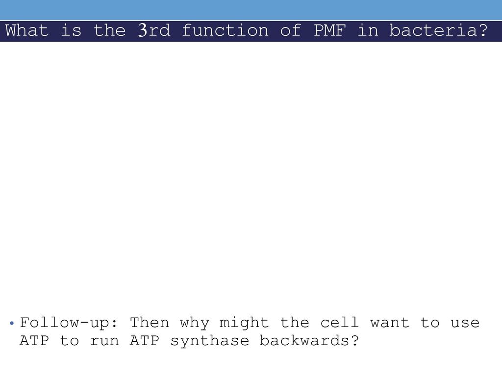 What is the 3rd function of PMF in bacteria