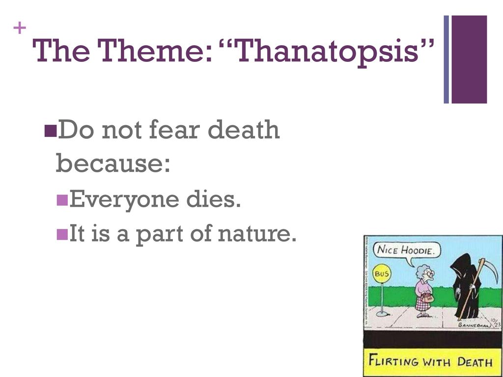 thanatopsis theme