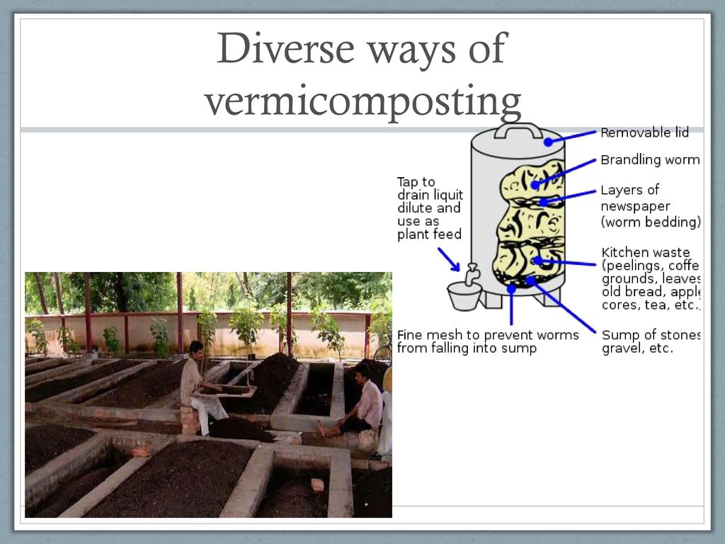 Diverse ways of vermicomposting