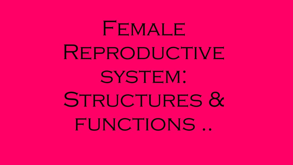 Female Reproductive system: Structures & functions ..